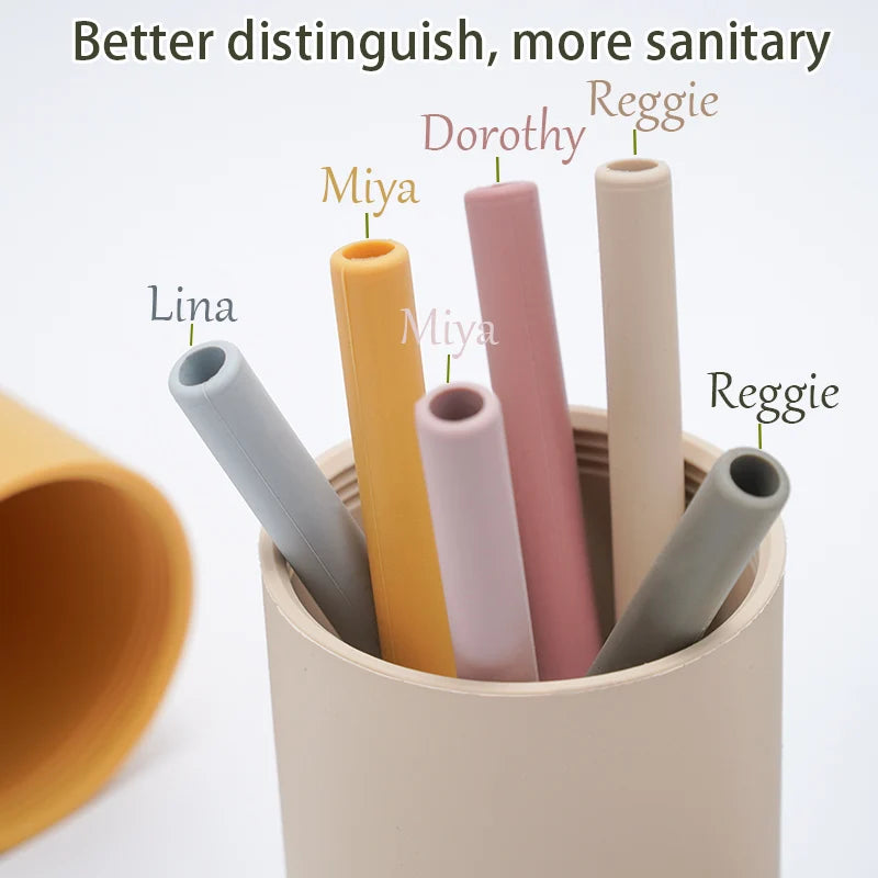 BPA Free Sippy Cup